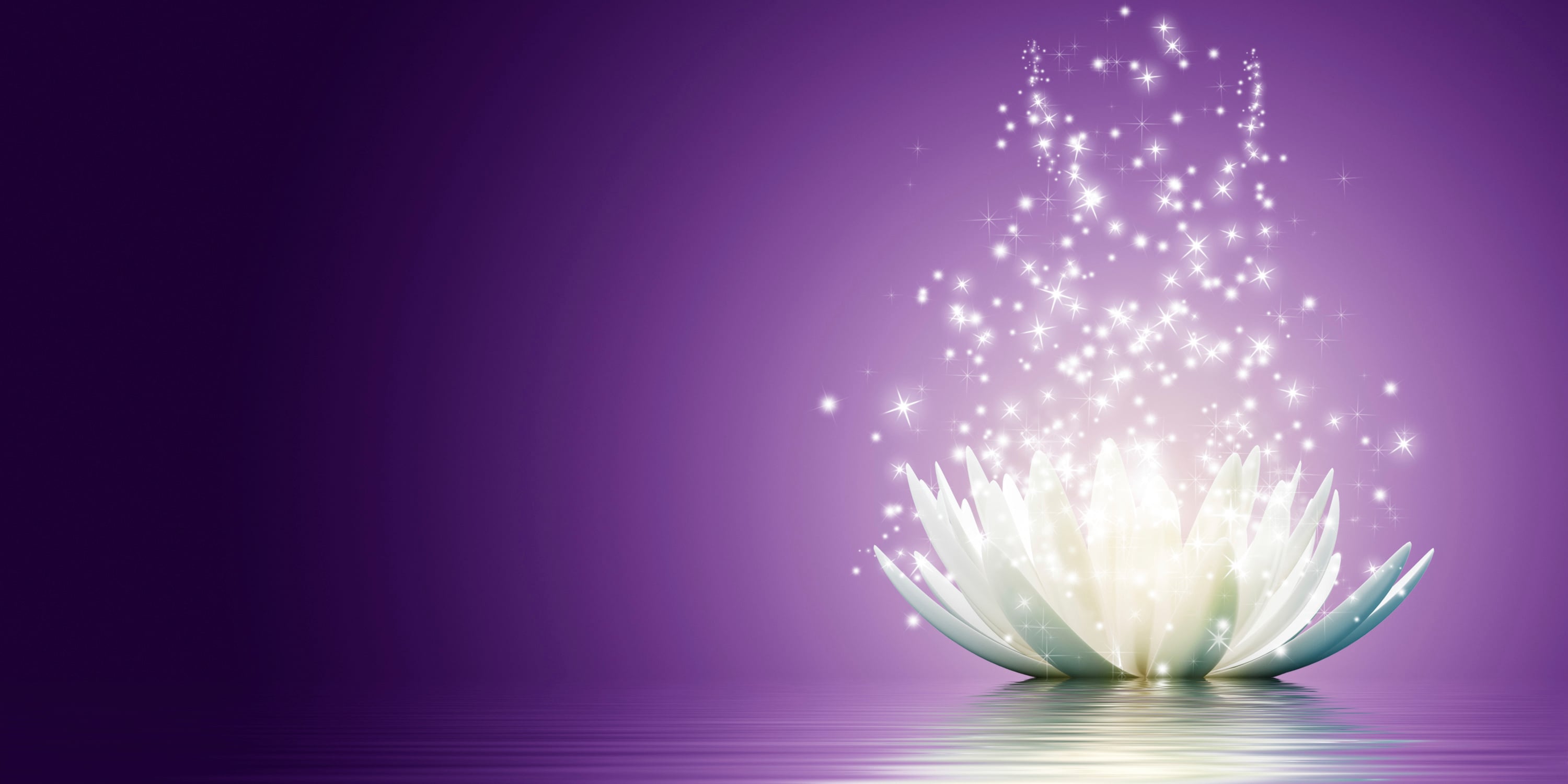 Trauma Therapy and EMDR